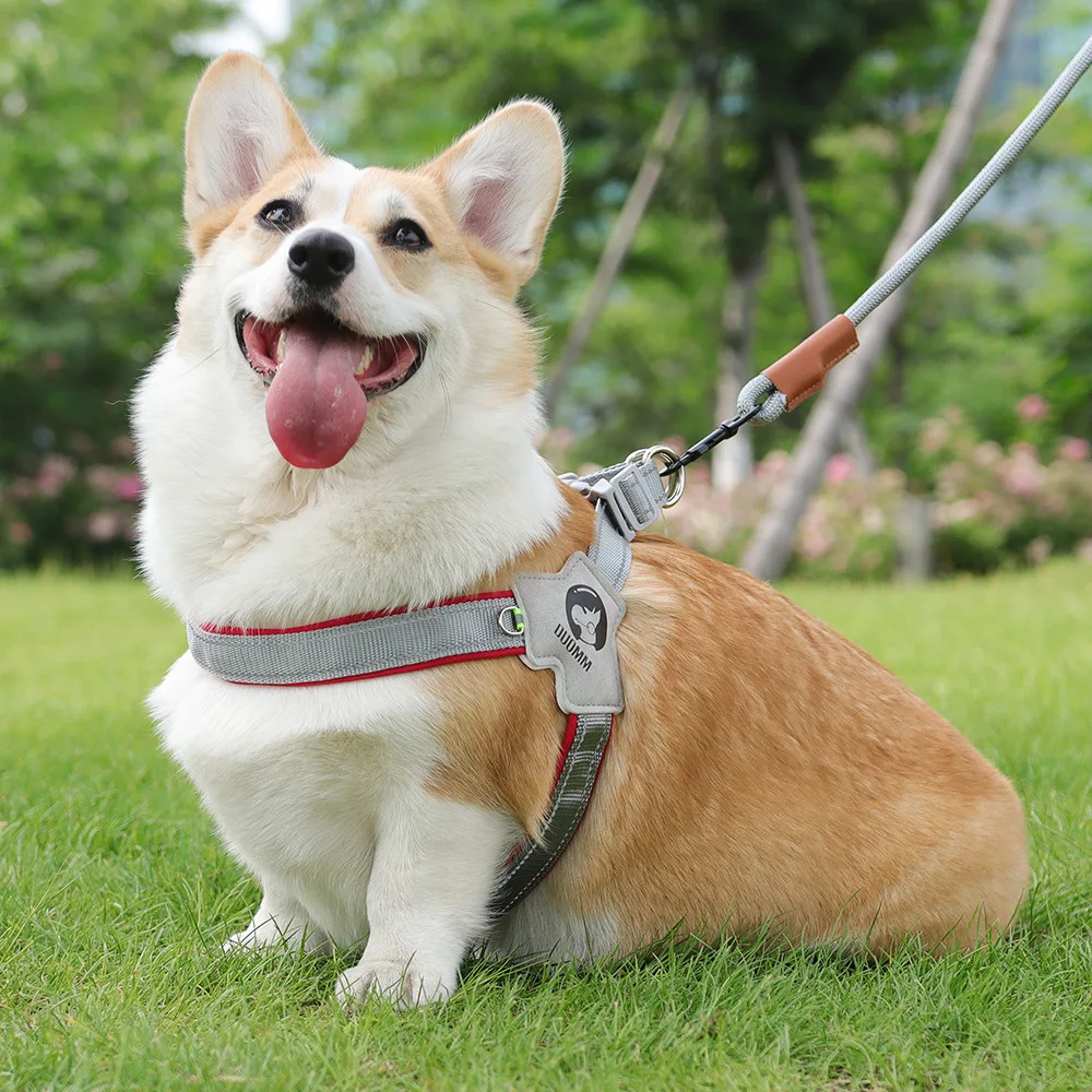Breathable Reflective Dog Harness for Small & Medium Dogs, Anti-Escape Pet Chest Strap for Outdoor Walking