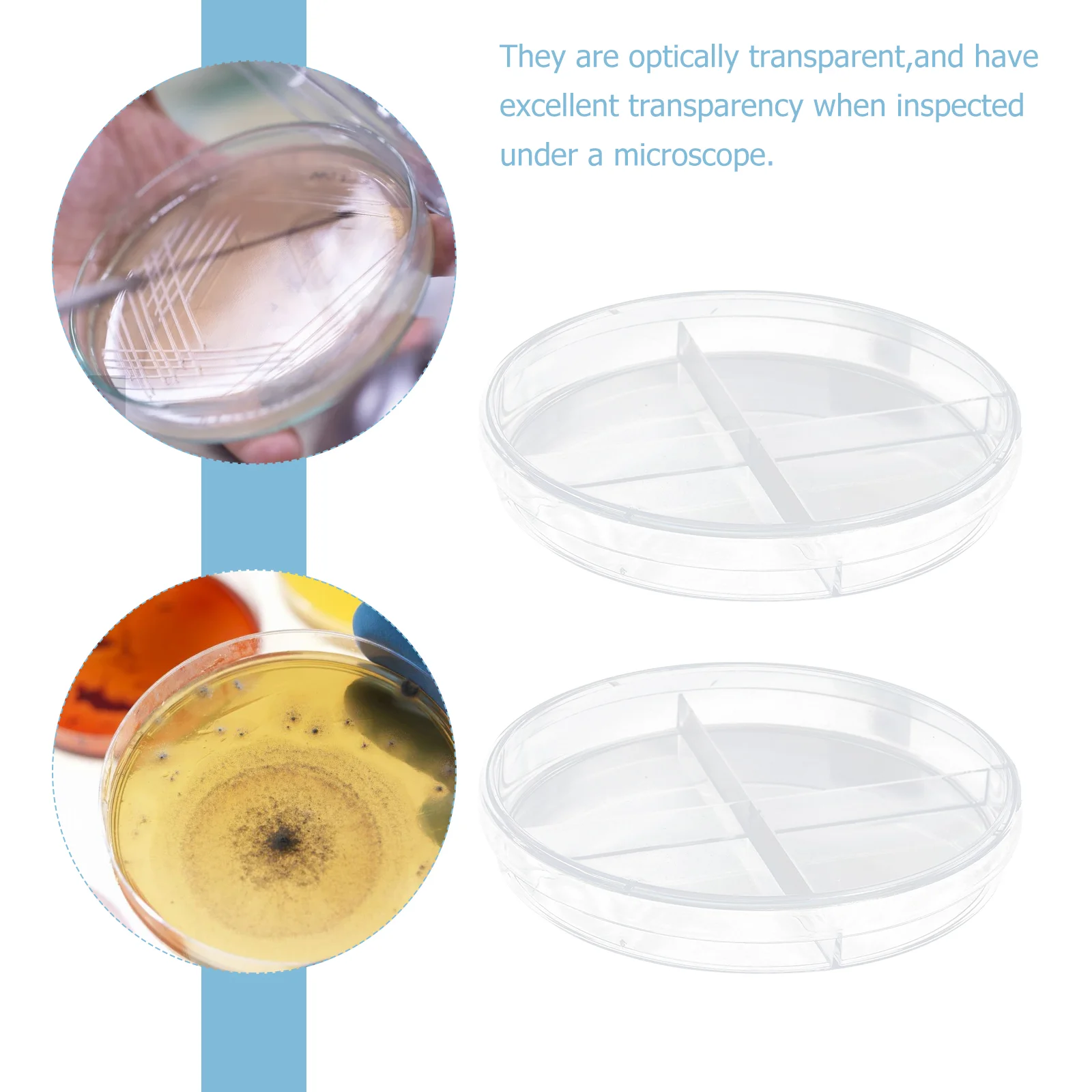 10 ชิ้นวัฒนธรรมเซลล์จานการสอนทางวิทยาศาสตร์ Clear Petri Experiment อุปกรณ์รอบโปร่งใสออกแบบแผ่นพลาสติก