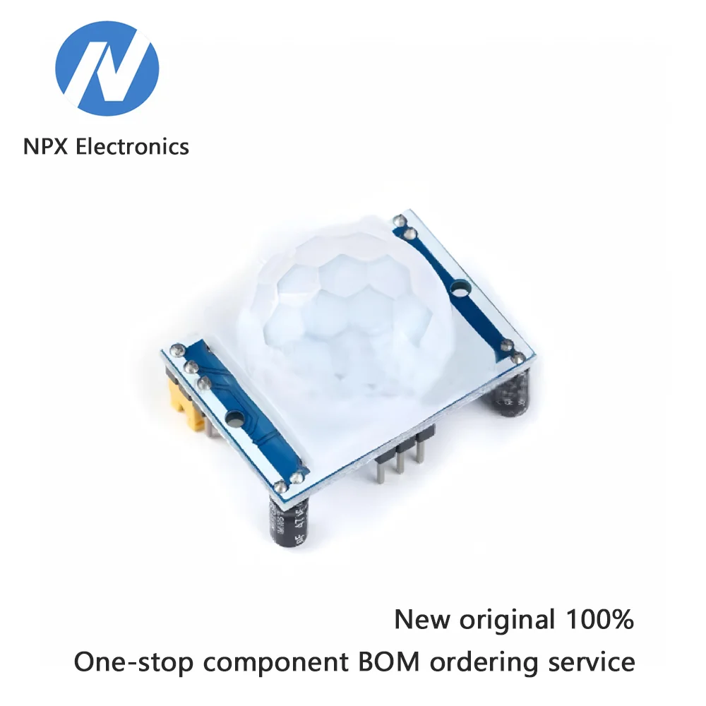 10Pcs Human Body Th…