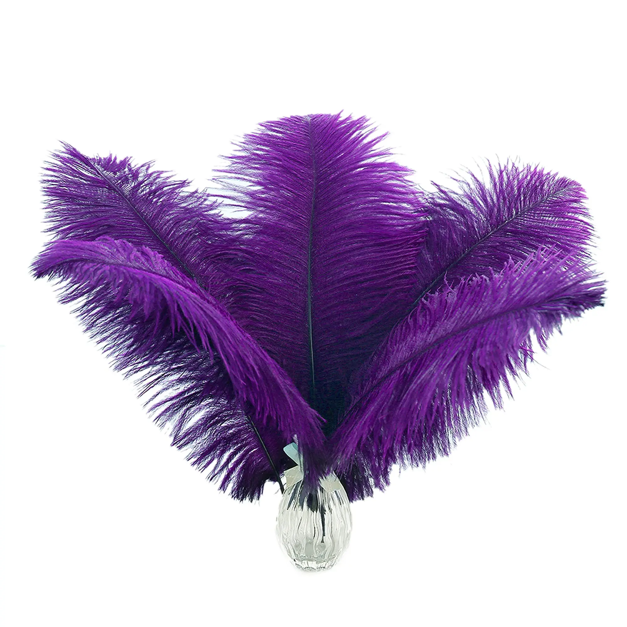 

Purple Ostrich Feathers 25-30cm Natural Feathers for DIY Crafts Jewelry Making Wedding Party Home Decoration Supplies