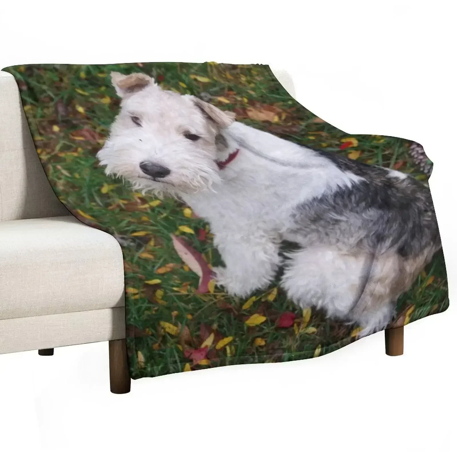 Yes? Was There Something You Wanted? Throw Blanket Shaggy Large Blankets