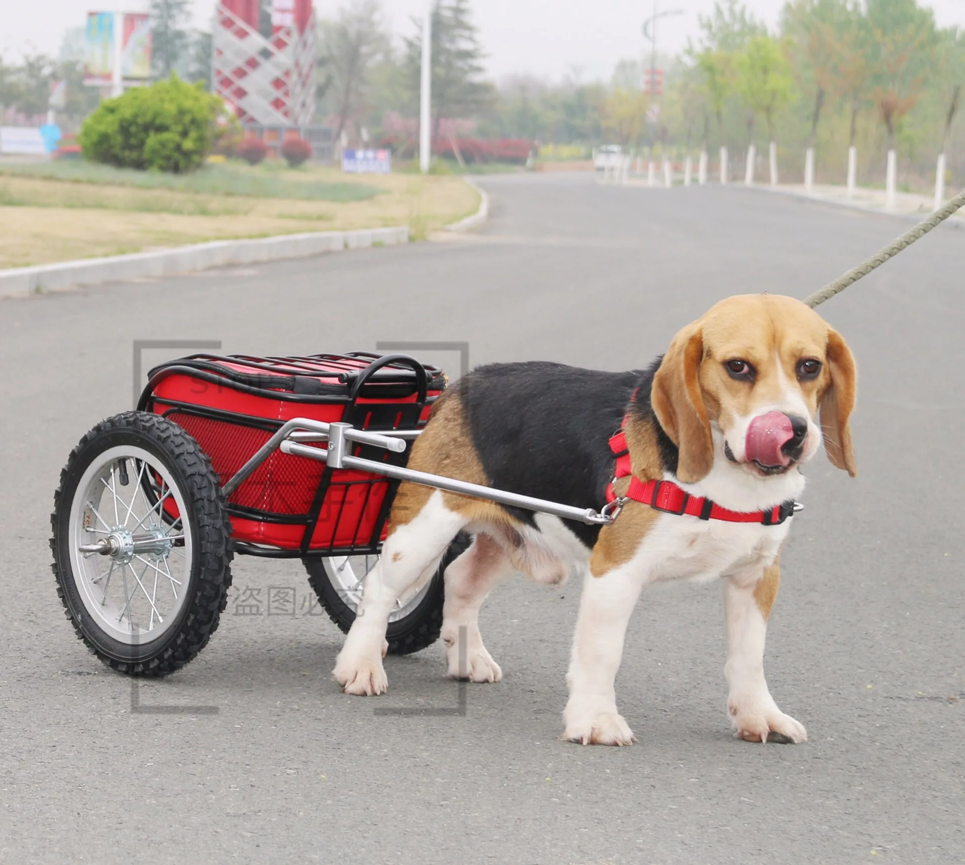 medium-sized dog trailer grocery shopping cart dog pulling cart Puppy  goods two-wheeled dog walking pet trailer medium car