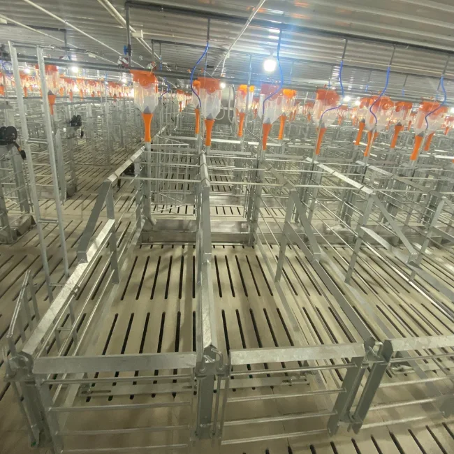 Best Selling Customized Pig Gestation Stainless Steel Cage New Condition for Rabbit Use Directly Manufactured in Vietnam