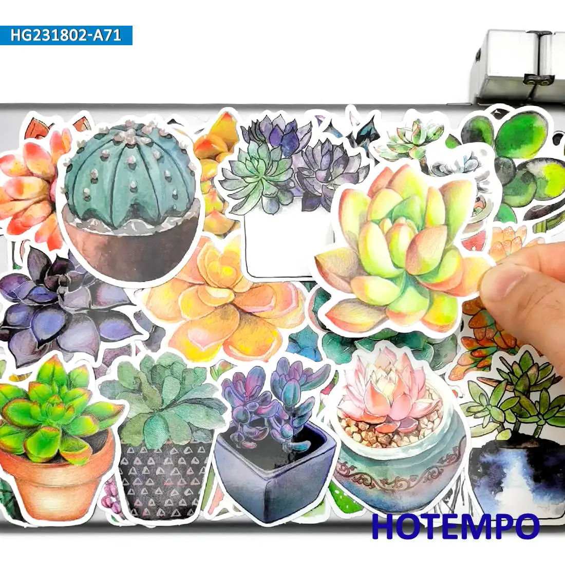 20/30/50/70Pieces Succulent Potted Colorful Graffiti Cute Plant Stickers for Kid Scrapbook Luggage Bike Car Phone Laptop Sticker