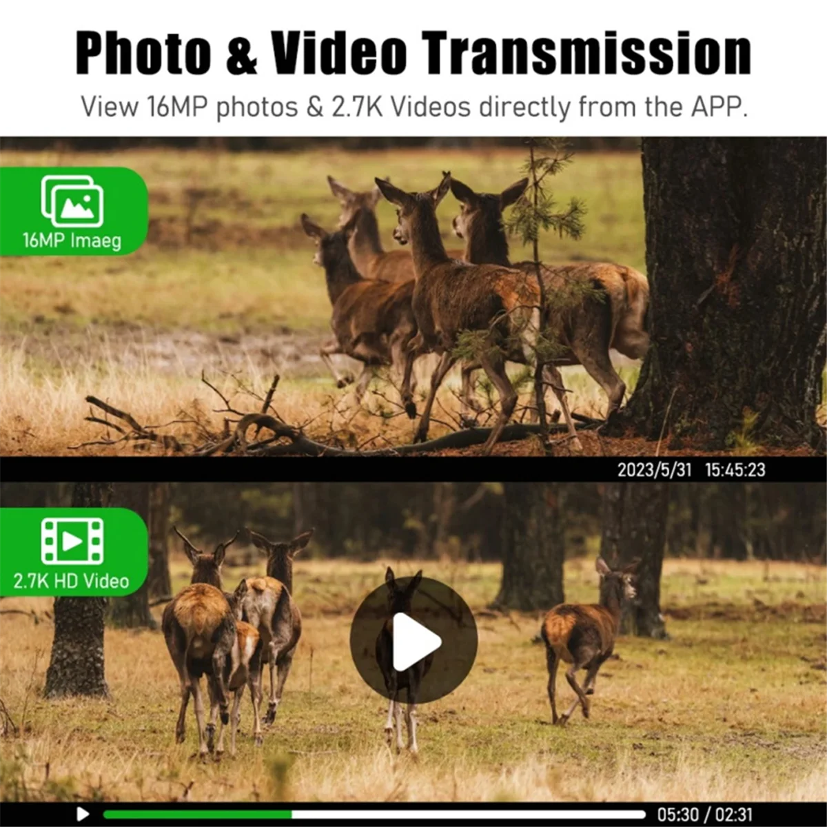 New Tech 4G Sim Card LTE Cellular 4W Solar 7800MAh Battery Hunting Trail Motion Activated Night Vision 4MP IP66 Camera(EU)