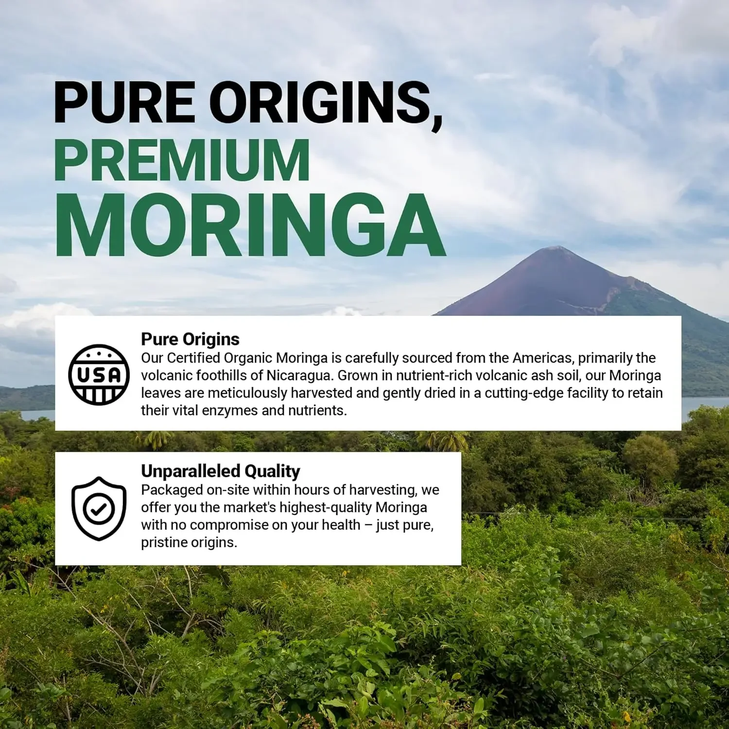 Pure Moringa 800 milligrams -60 capsules of green food - containing vitamins, minerals, and nutrients