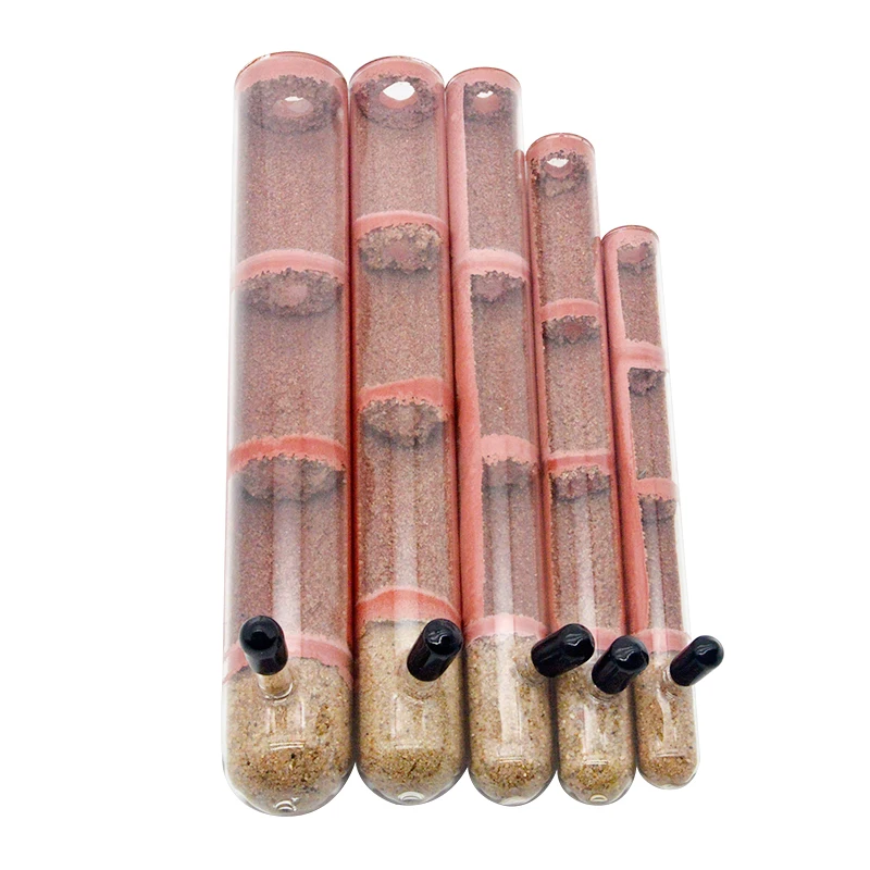 Various Sizes Ecological Ant Farm Bamboo Test Tube Ant Nest Plaster Tube Ant House for Pet Anthill Workshop Villa Queen Ant Home