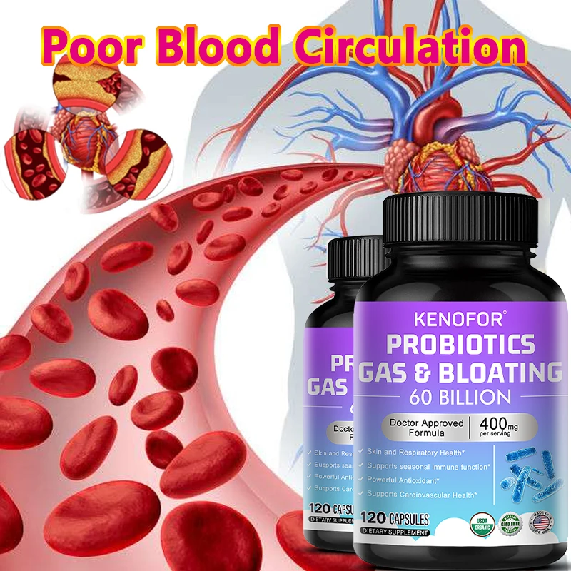 Gut Health Supplement - Immune Antioxidant Weight Loss Cleansing Detox Probiotics 60 Billion CFU Capsules