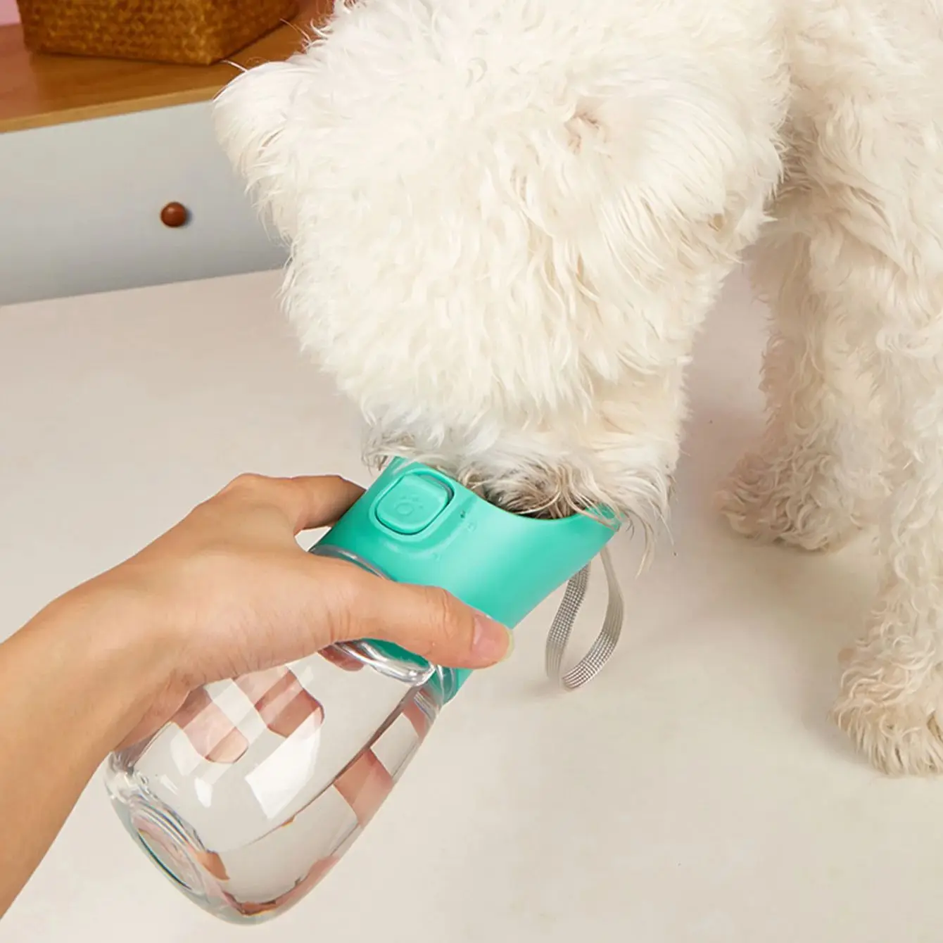 Portable Leakproof Dog Water Bottle 5
