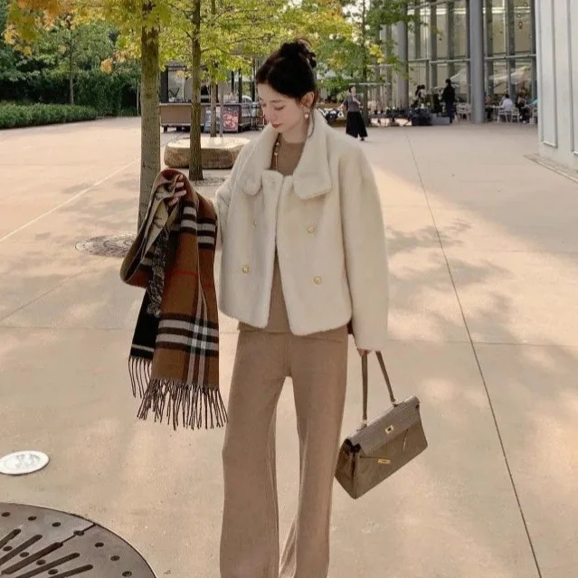 عالية الجودة تقليد المنك المخملية للنساء الخريف والشتاء 2025 قصيرة الفراء أبلى موضة أبلى سترة أبلى Wh32