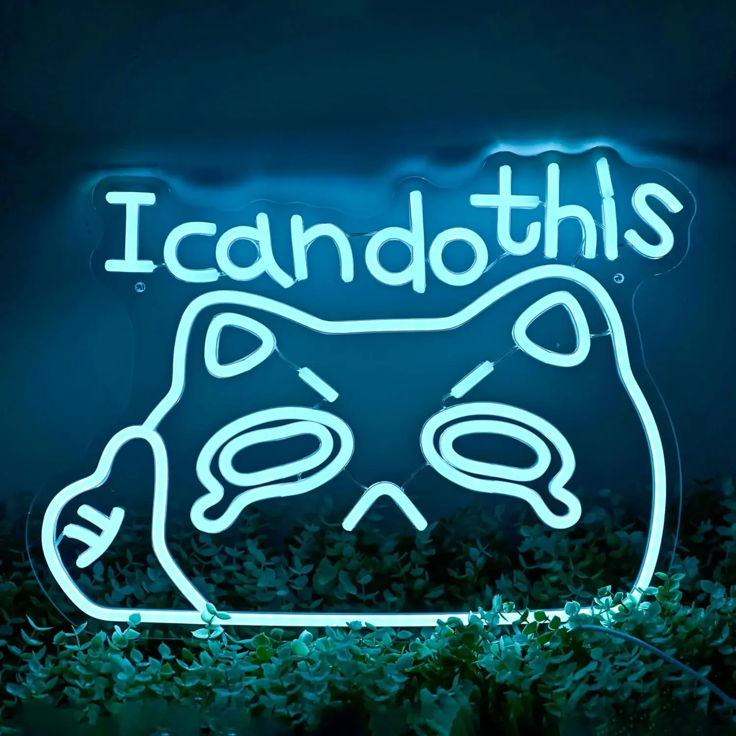 I Can Do This LED Neon Sign USB Dimmable Neon Light Sign for Gameroom Bedroom Bar Livingroom Birthday Party Gift Wall Decor