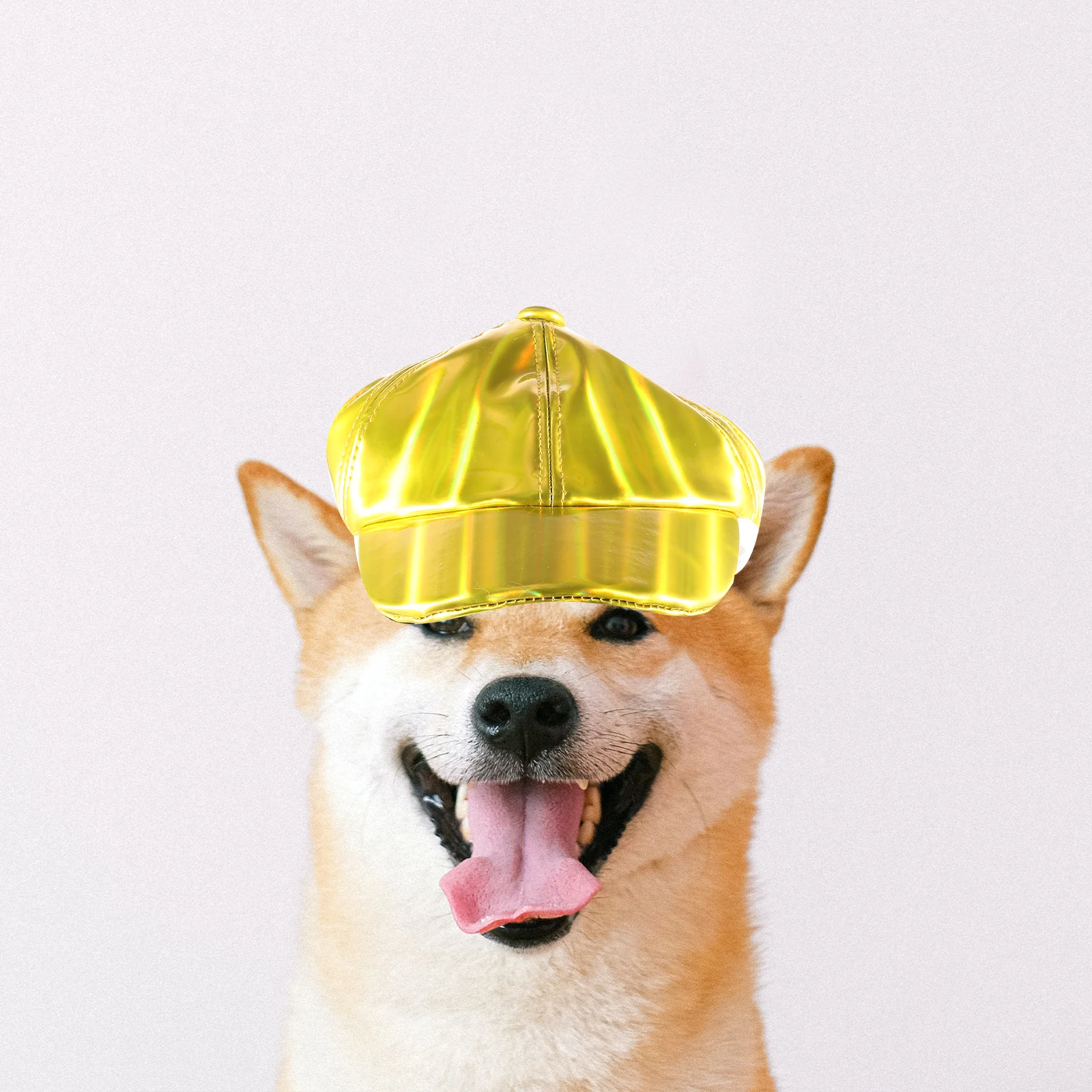 

Pet Dog Hats Durable Stylish Decorative Wear resistant Fashionable Compact Outdoor Puppy Hat Accessories for Small Dogs Mini