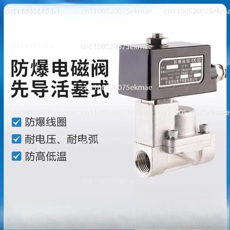 Explosion-proof Solenoid Valve Pilot Piston Type Two-way YCP31 YCH41 Series Petrochemical Industry