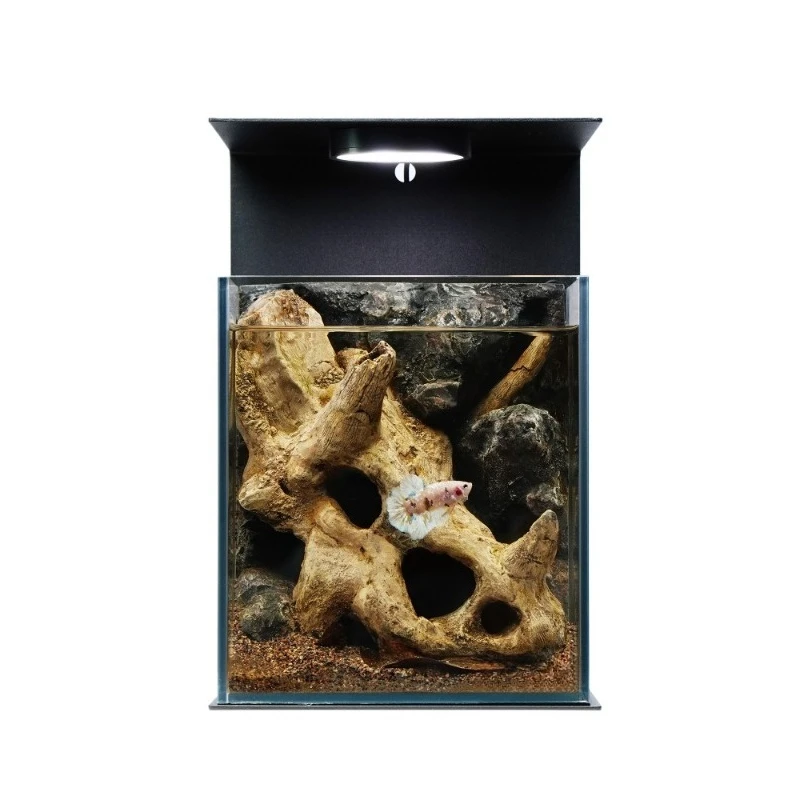 

Desktop Douyu special back filter integrated micro landscape glass tank