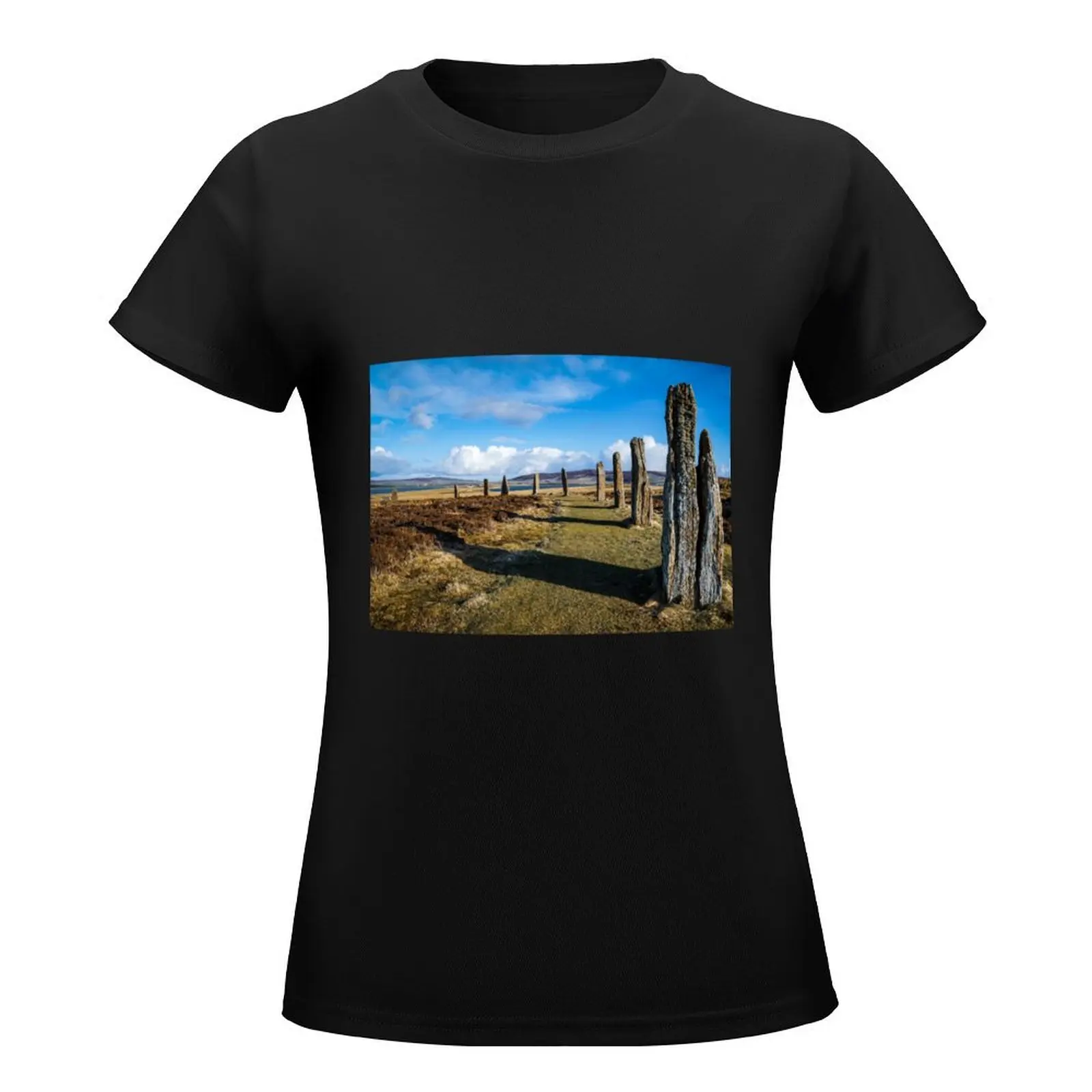 Spring at Ring of Brodgar T-Shirt Blouse summer top white t-shirt dress for Women sexy