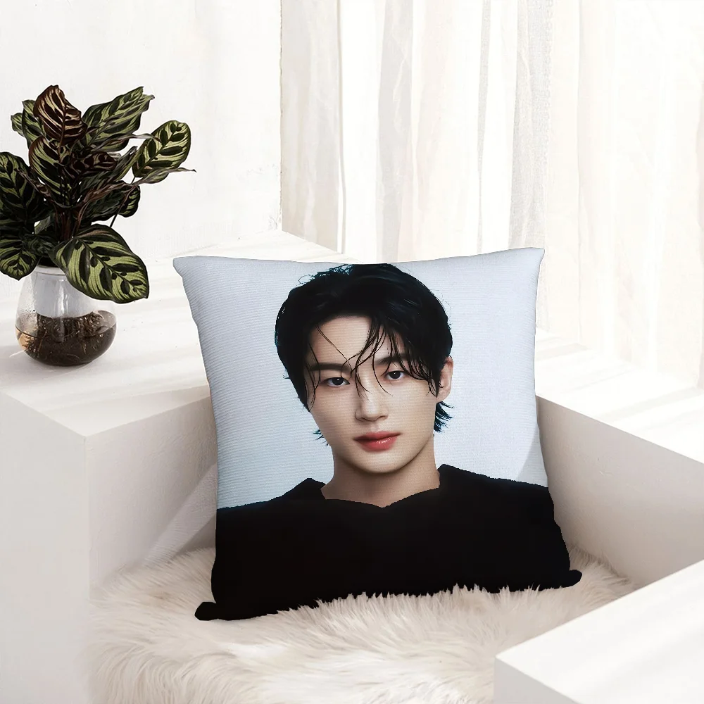 B-Byeon W-Woo-seok Korea Pillow Case Plush Fabric Soft  Pillowcase Double Sided Print   Cushion Cover Throw Pillow Cover