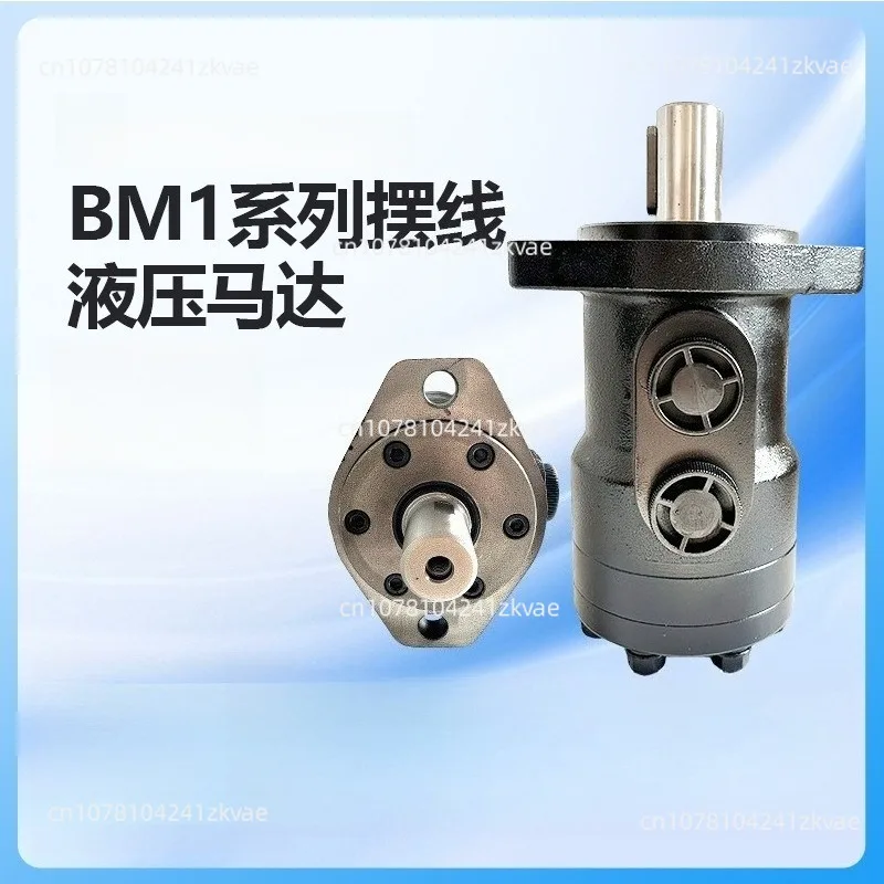 Two BM1-250 Low Speed Cycloid Hydraulic Motor Injection Molding Machine Food Processing Equipment Low Noise and Smooth Operation