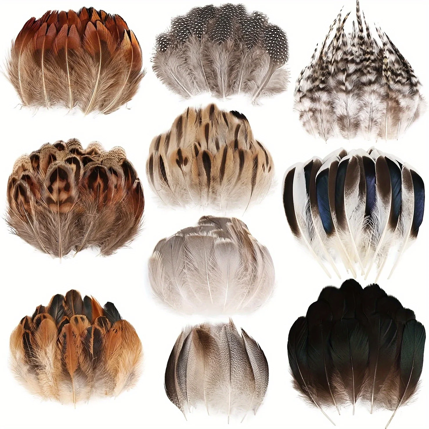 

50pcs Natural Mixed Feathers Chicken Duck Goose Peacock Feather for DIY Handicraft Home Decor Dreamcatcher Crafts Feathers