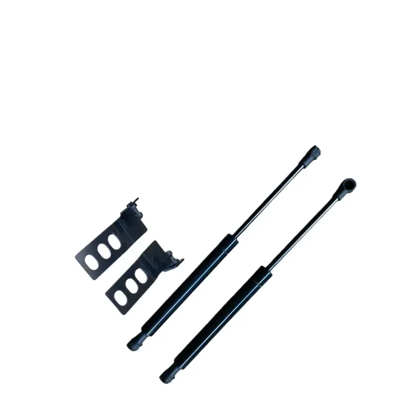 High Quality Rear Trunk Lid Hydraulic Strut Gas Spring Shock Absorber Lift Support Compatible with BYD Seagull Electric