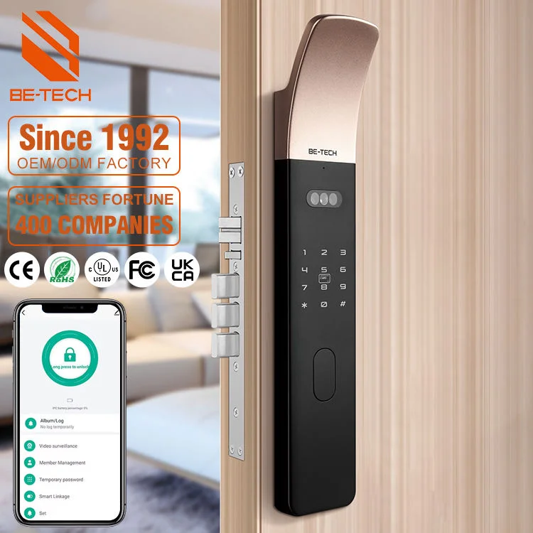 High Quality Intelligent Lock Fingerprint Pin Code Card Tuya App Key 3D Face ID Wood Door Steel Door WIFI Electronic Home Lock