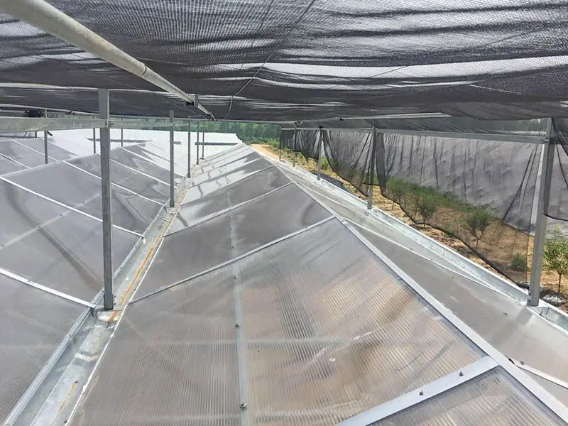 Planting trough greenhouses hydroponic greenhouses strawberry greenhouses