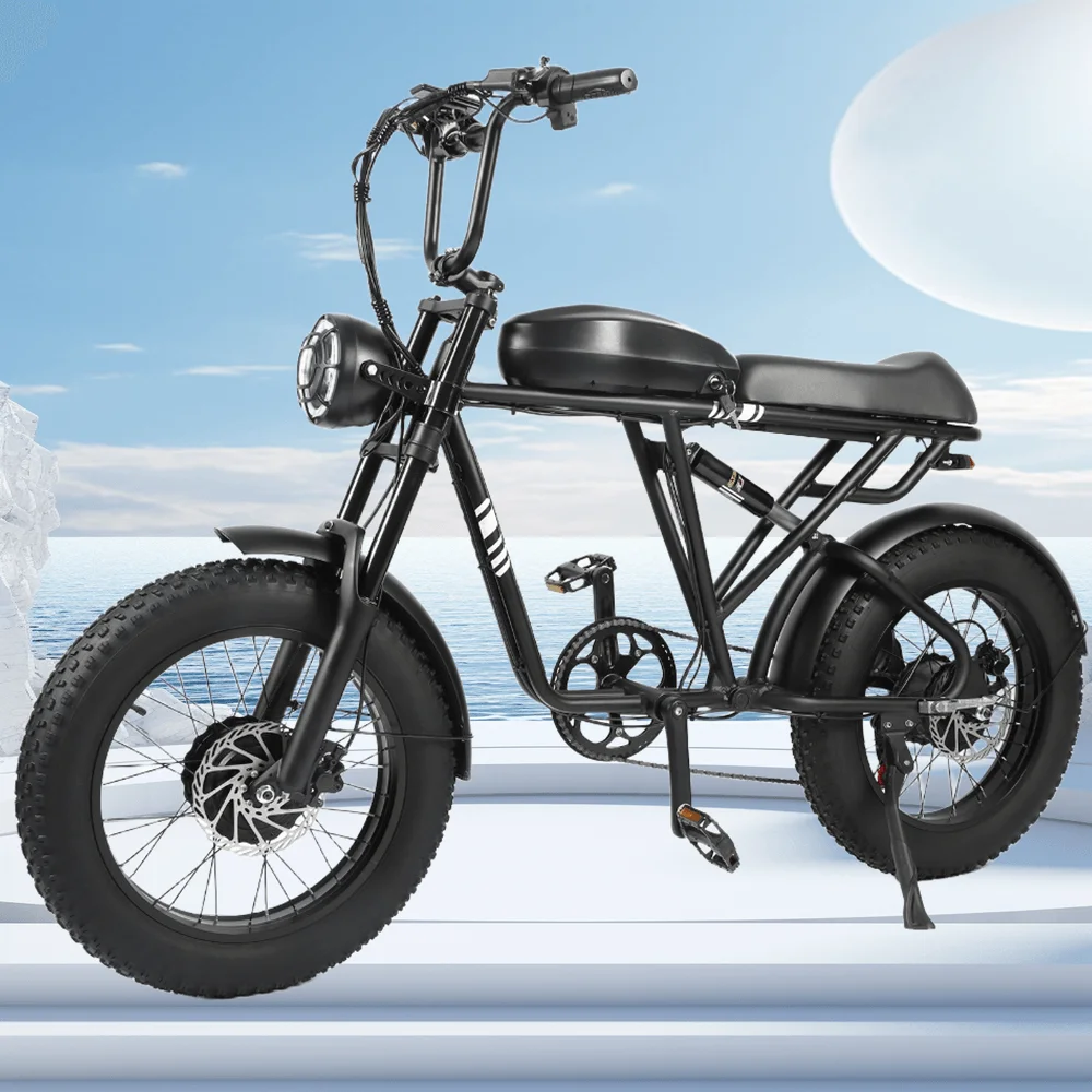 

1000W+1000W Adult Fat Tire Mountain Electric Motorcycles Bike, Portable Electric Bicycle With Pedals With 48V 20AH Battery