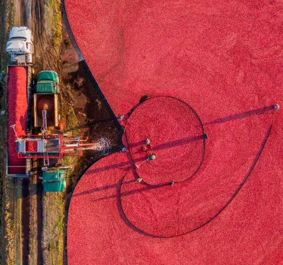 

Новинка: Инфракрасный термомассажер с функцией электростимуляции мышц (EMS) и вакуумного массажа для коррекции фигуры, для дома или салона.