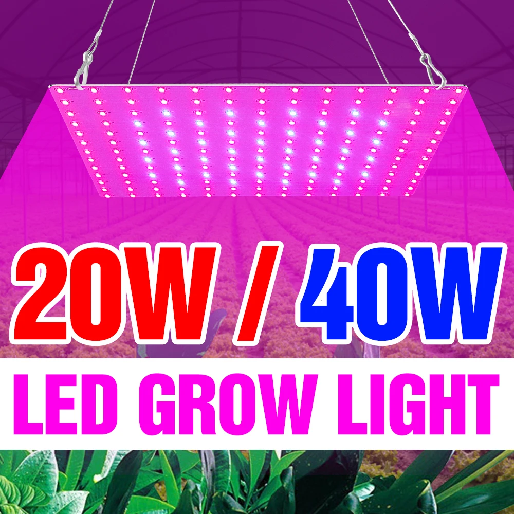 

Phyto Led Lamp Quantum Board Plant Light Grow Tent Box Greenhouse Flower Seedling Hydroponics Lights For Indoor Cultivation