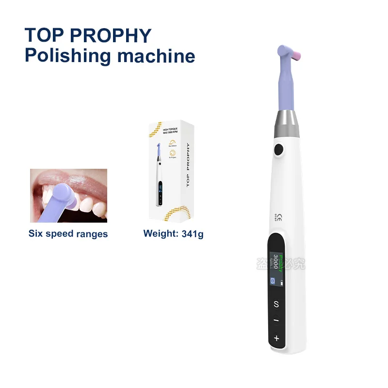 Dental Electric Polishing Motor Straight Prophy Handpiece Disposable Head 500-3000 Rpm/min Non-LED