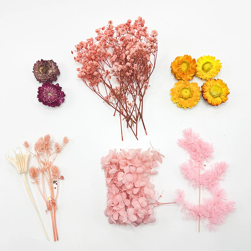 Artificial Plants Natural Real Dried Flowers For Candles Mold Epoxy Resin DIY Making Decoration Home Accessories Crafts