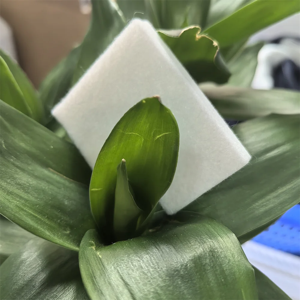 

5SETS C9382 C12C938211 Maintenance Box Pad Sponge for EPSON WorkForce Pro WF C5310 C5810 C5390A C5890A C5390DW C5890DWF