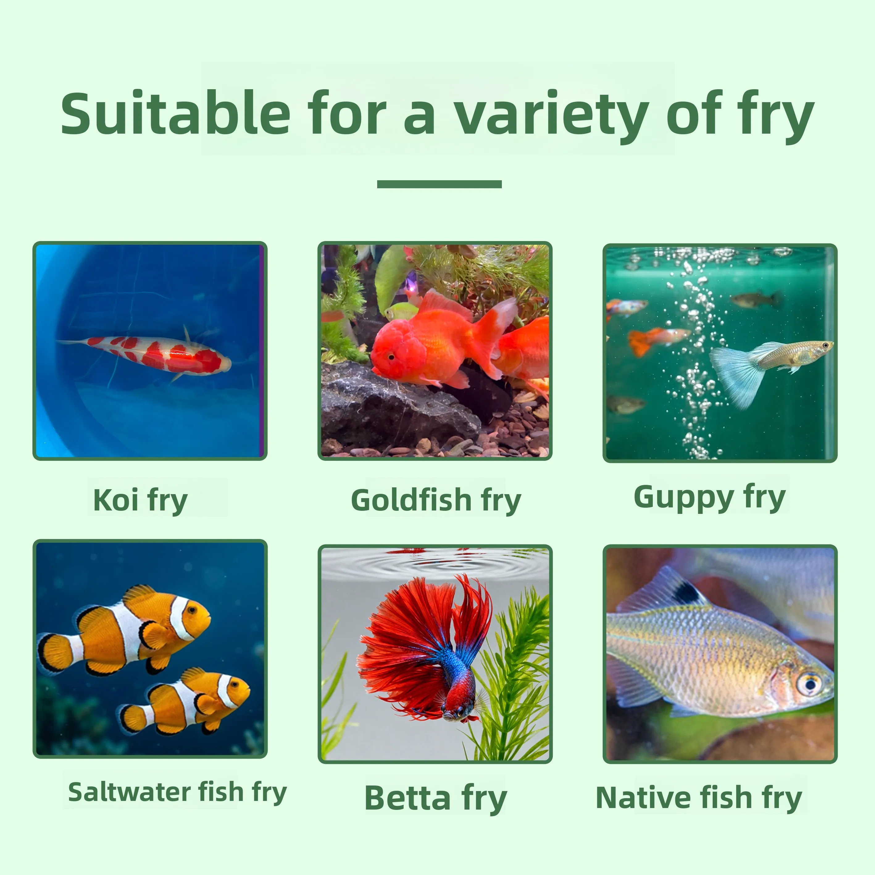KAI DO Baby Fish Food Micro Pe - Baby Food With Protein recension och pris