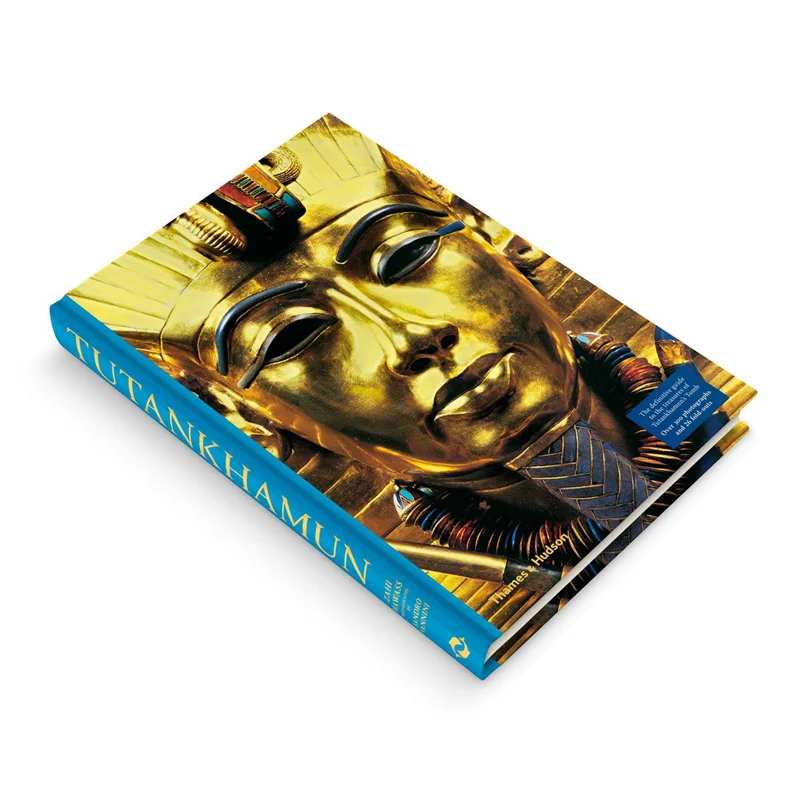 

Tutankhamun The Treasures Of The Tomb Thames And Hudson Ltd Thames And Hudson Ltd 9780500293904 Book
