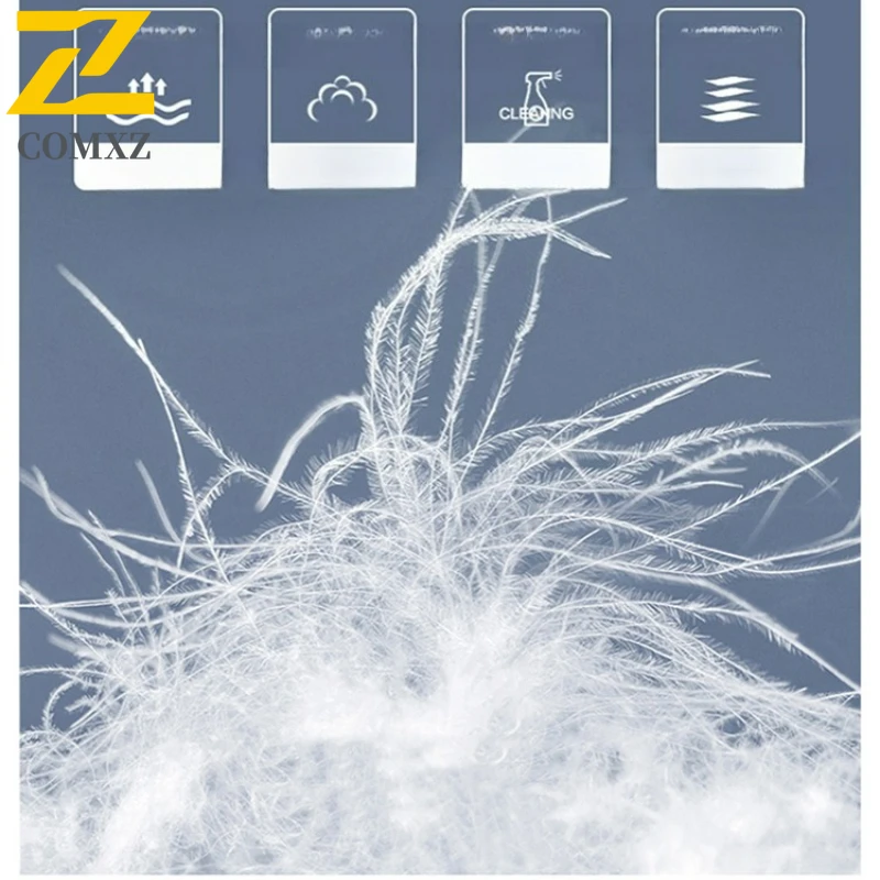 COMXZ Luxury Men Down Jacket 2025 Leisure Stand Collar Commute Office Lightweight Puffer Jacket Hiking Comfortable Winter Parka