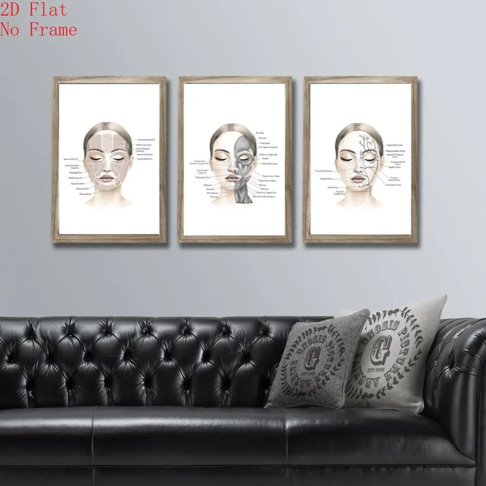 (NoFrame 3PCS)-2D Flat, [2D Flat] 3pcs(Canvas Poster Unframes)Facial Anatomy Art Prints, Esthetician Spa Clinic Decor, Set of