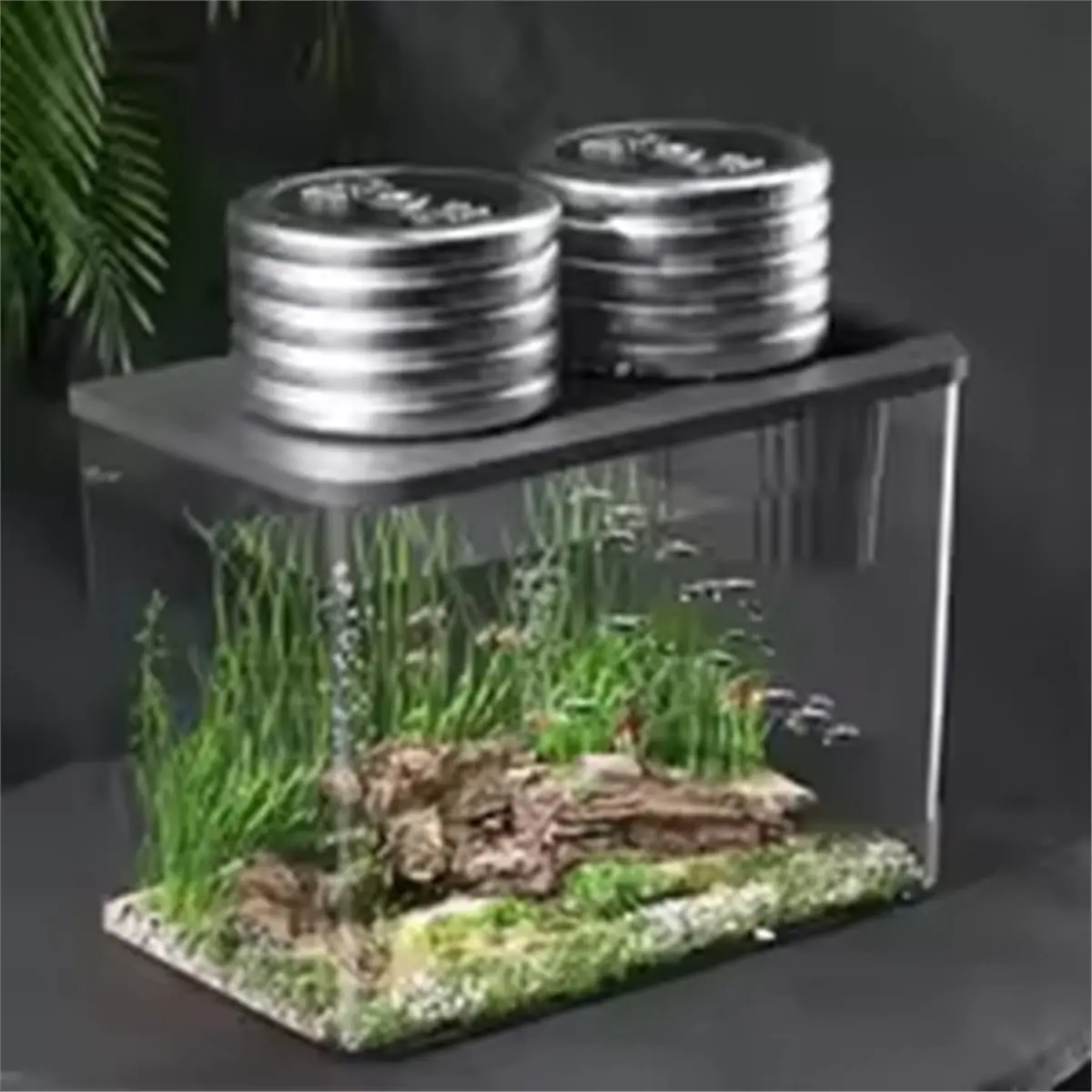 2026 New Tool Fish Tank New Transparent with Lid Aquarium Drop Hydroponic Tank Turtle Tank Home