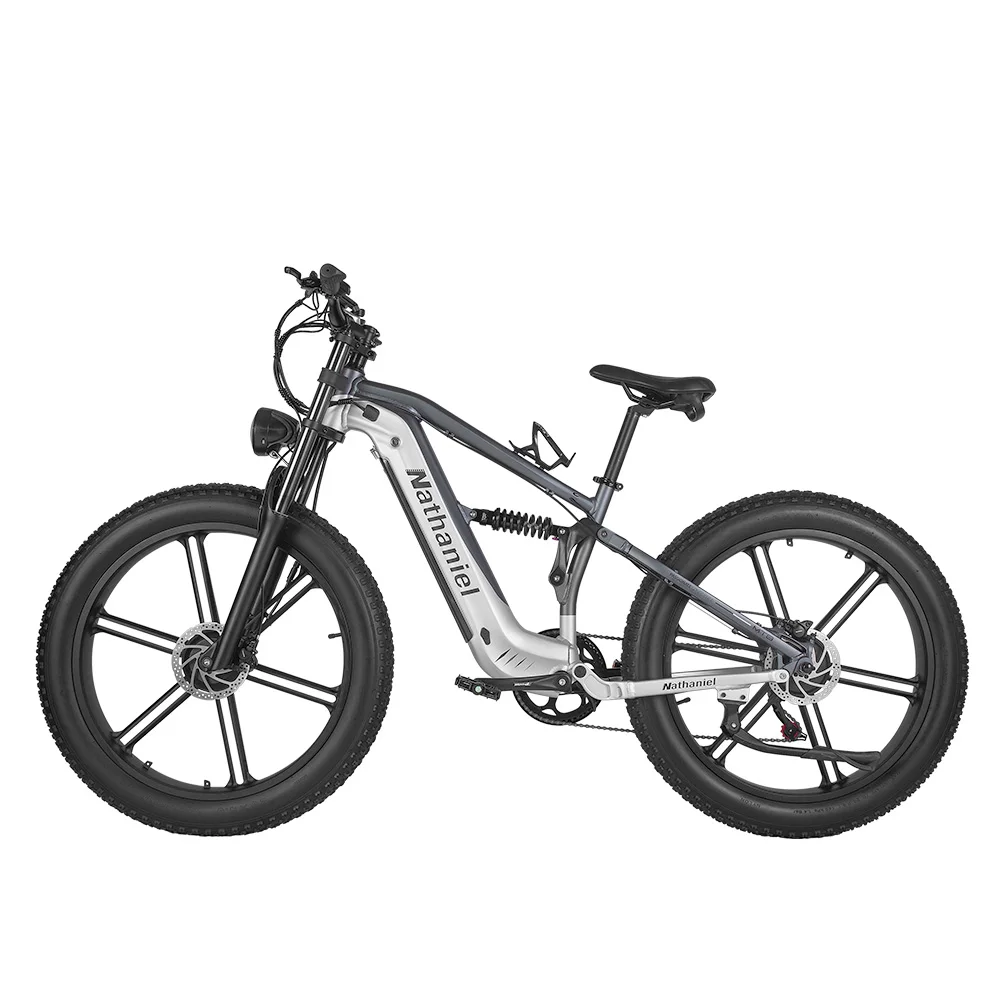 AliExpress Nathaniel Snow&Sand E-Bike 2000W Dual Motor,26*4.0 Fat Tire,48V 20Ah Detachable Battery, 55KM/H, Soft-tail Mountain E-bike