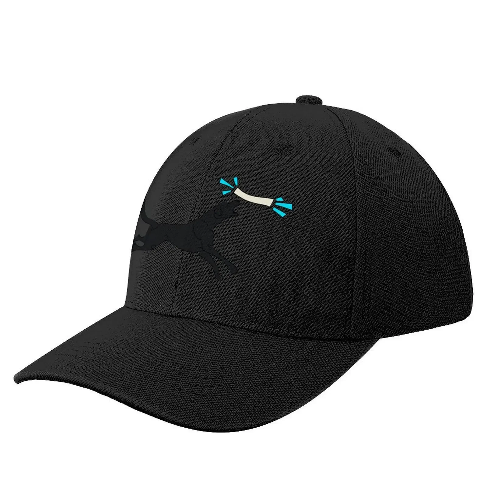 Dock Diving Black Labrador RetrieverCap Baseball Cap Rave sailor cap for men Anime Hat fun hats Women Men's