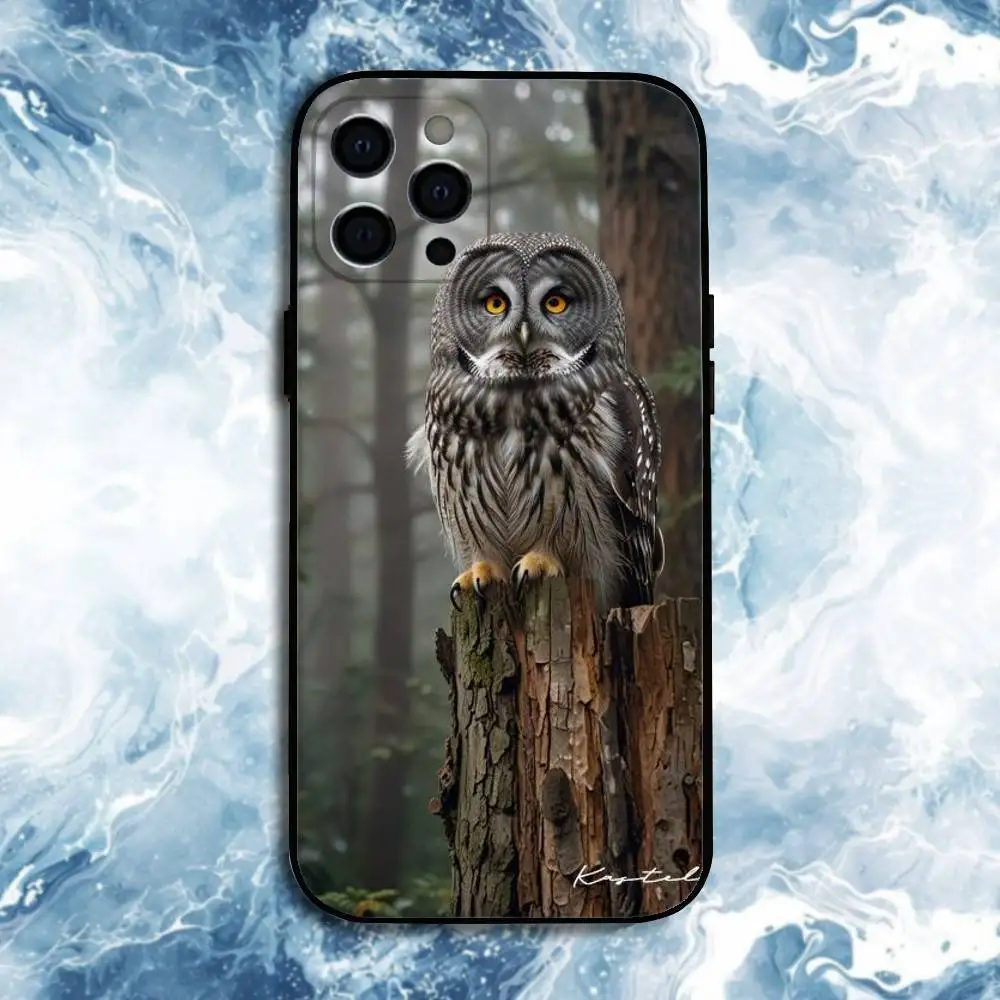 حافظة هاتف OWL FORST الواقعية لهاتف iPhone17,16,15,14,13,12,11 Plus, Pro Max, غطاء أسود من السيليكون الناعم #6