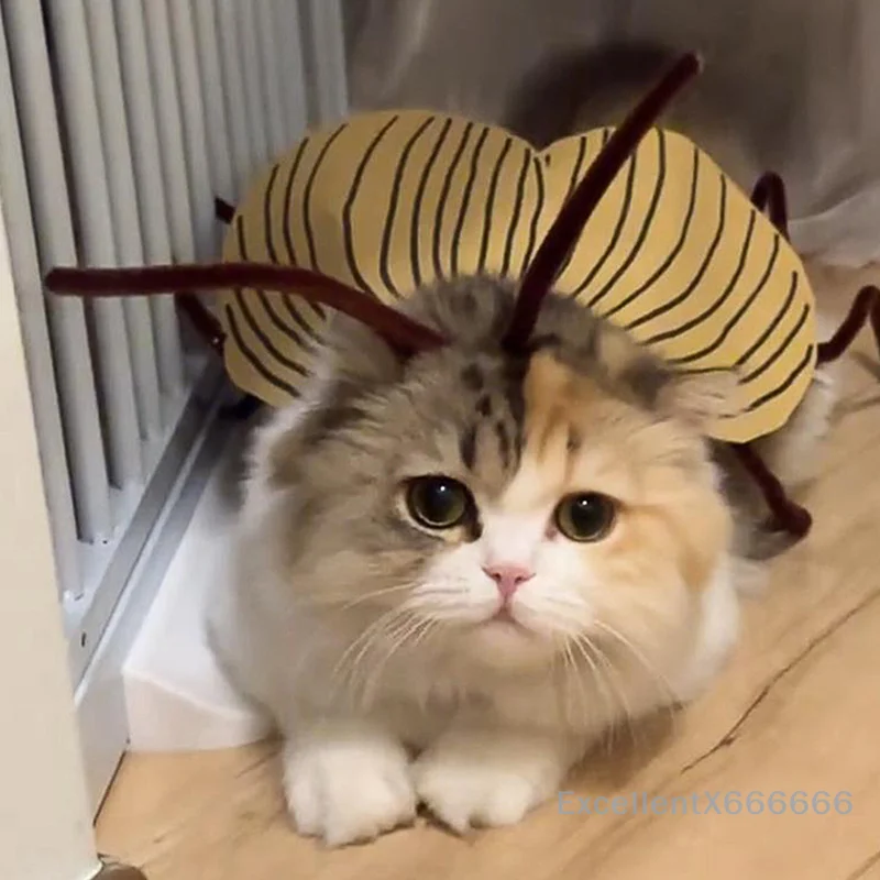

Cosplay Cat Costume Pack - DIY Cockroach Wings & Antennae Party Outfit Material