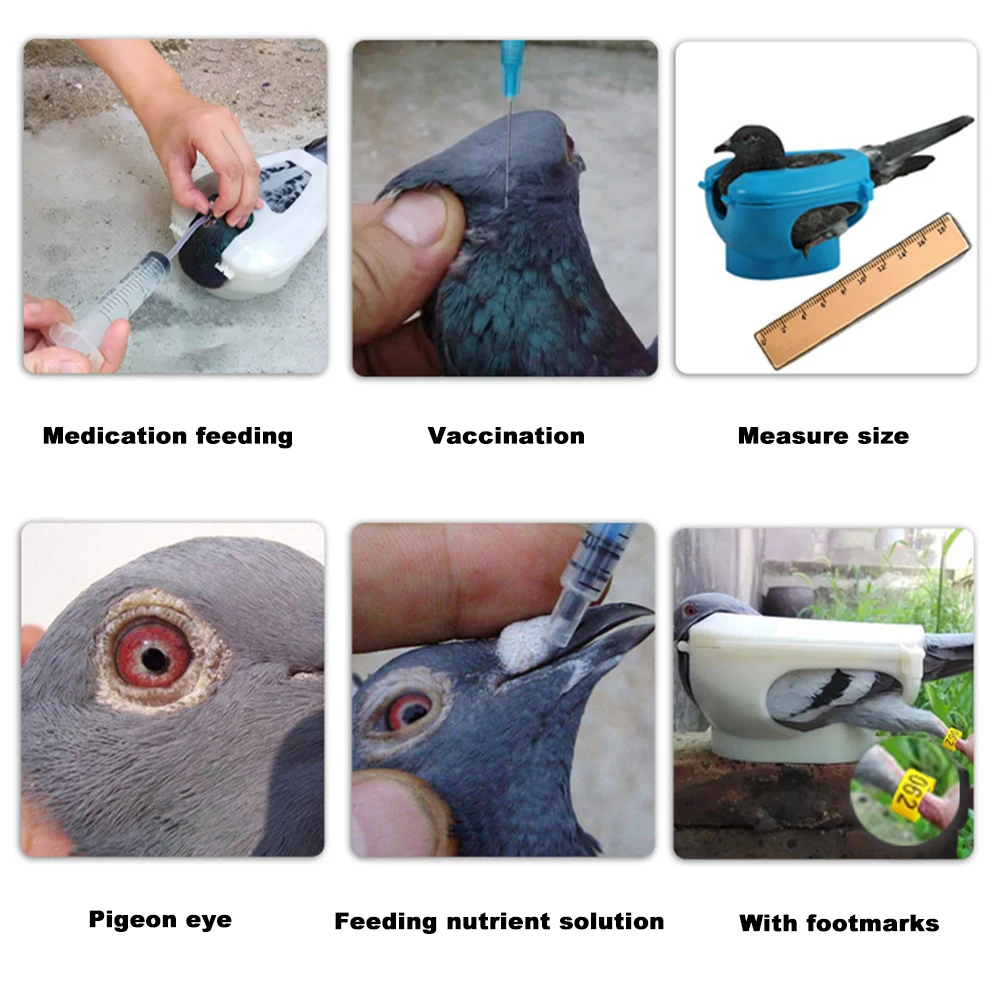 Pigeon Holder Plastic Pigeons Holder Bird Fixed Frame Rack Feeding Syringe For Birds Pigeon Parrot Chick Injection Feeding