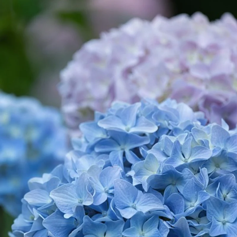 

4 шт., 113 мм, передние и задние колеса, шина 1/10, короткая шина для грузовика для TRXS Slash ARRMA Senton SCTX10 HPI HuanQi 727 Vkar 10sc