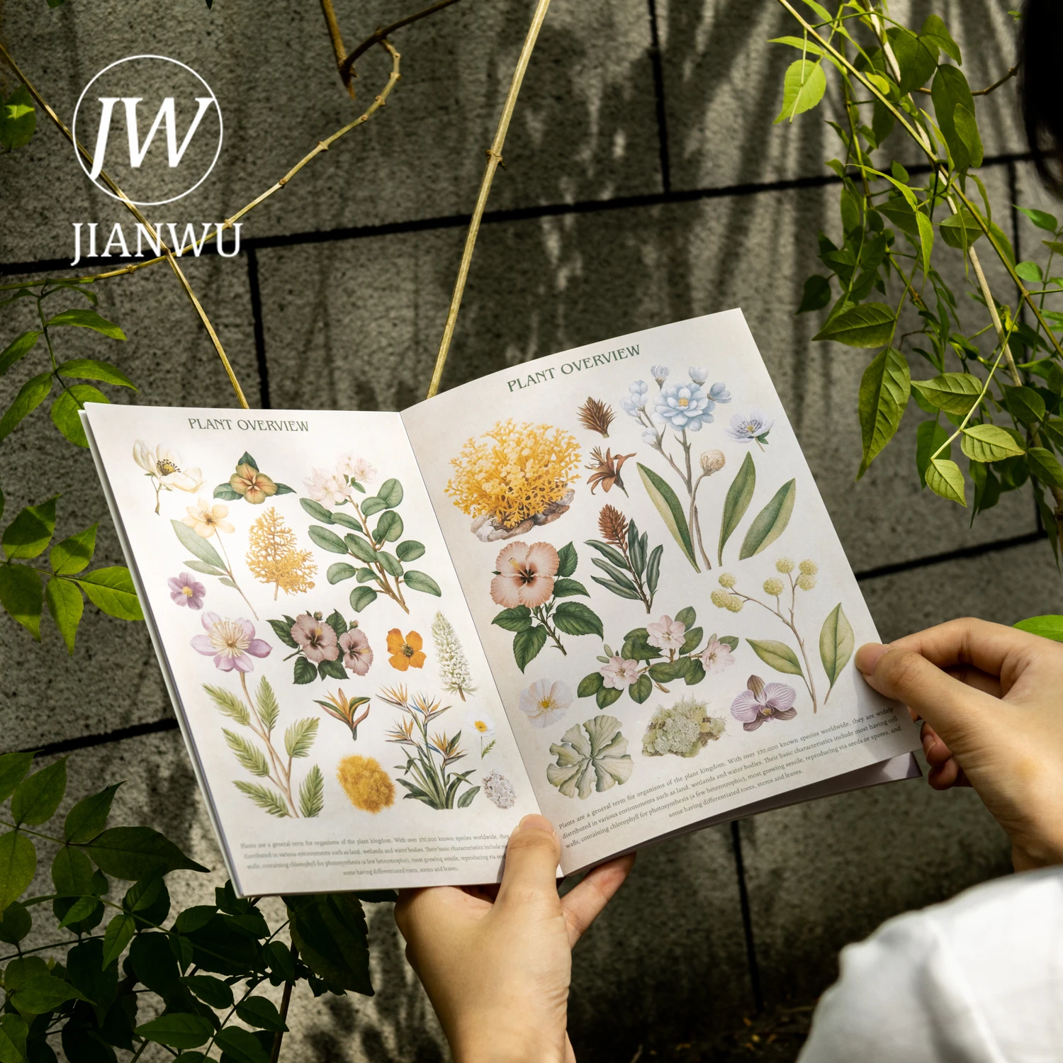 JIANWU موسوعة سلسلة خمر زهرة فراشة الطيور المشهد المواد الكولاج ملصق كتاب الإبداعية DIY مجلة القرطاسية #3