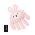 pink rabbit