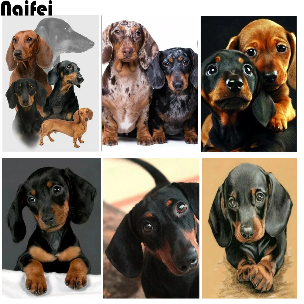 diy embroidery diamonds round Dachshund breed diamond painting 5d cross stitch full square drill diamond mosaic kit home decor