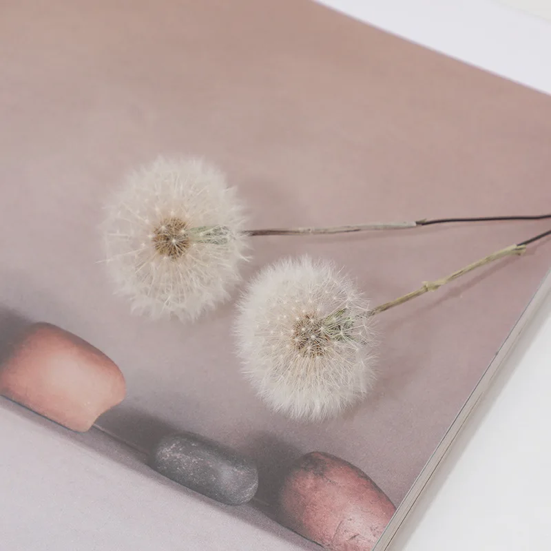 Preserved Dandelion DIY Epoxy Resin Craft Kit, Forever Dried Flower for Resin Molds, Decor & Photo Props - view 3