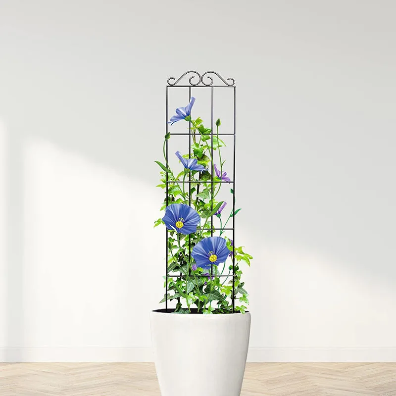 Treillis Jardin Pliable Obélisque Métal Antirouille - Grand Support Pour Plantes Grimpantes, Roses, Clématites, Vignes En Pot Ou Pleine Terre