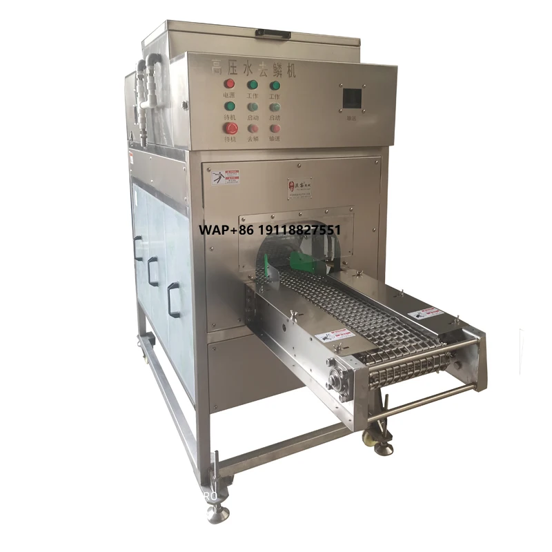 Fish Scaler Machine Fish Kill and Scaling Machine Automatic Fish Killing Machine