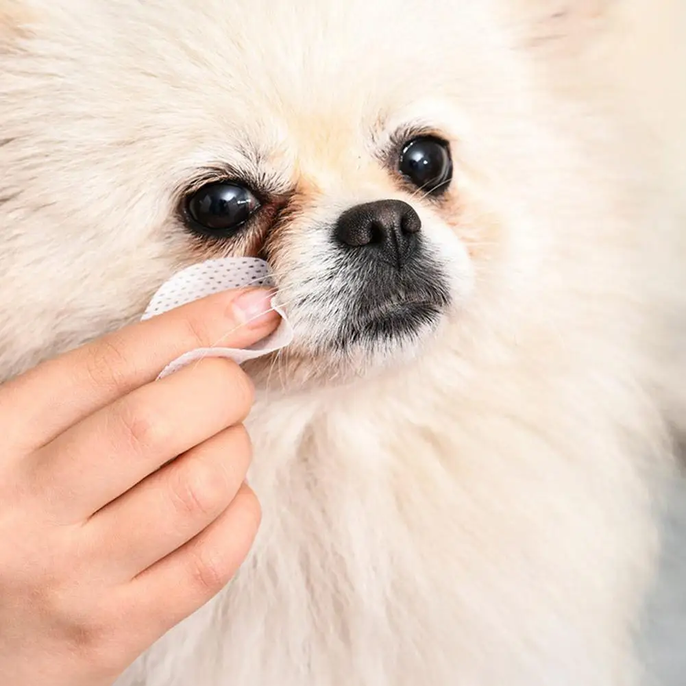 Dog Eye Wipes Puppy Kitten Tear Remover Cleaner Stain Remover Pet Cat Dog Eyes Ears Cleaning Towel Paper For Grooming Suppl X6B1