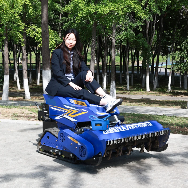 

Customized Internet-famous courtyard creation! Flail mower trims lawns, making it a popular check-in spot